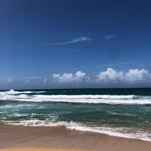 Meet your Posher, Rose